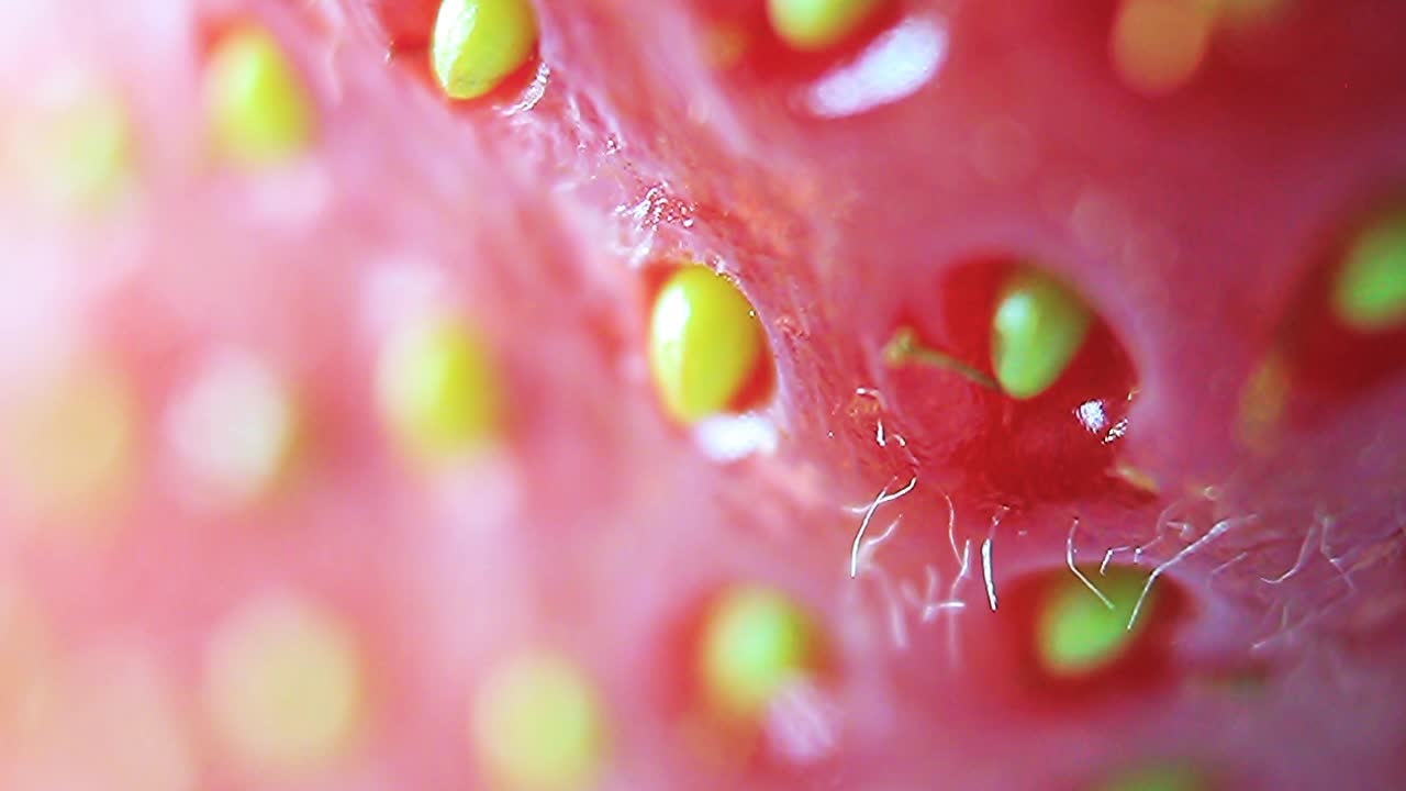 딸기 씨앗과 보풀에 물방울의 매크로 근접 촬영