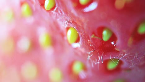 macro primer plano de una gota de agua sobre una semilla de fresa y fuzz