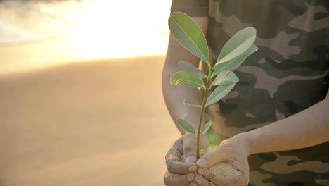 shot of a smiling young man holding a small green plant