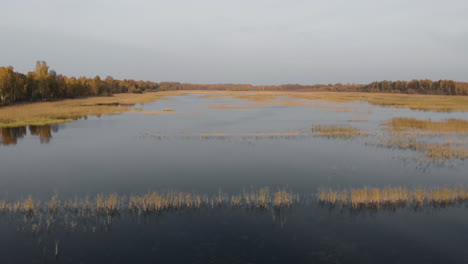 Aerial-view-of-marsh-at-autumn-in-Seda,-Latvia