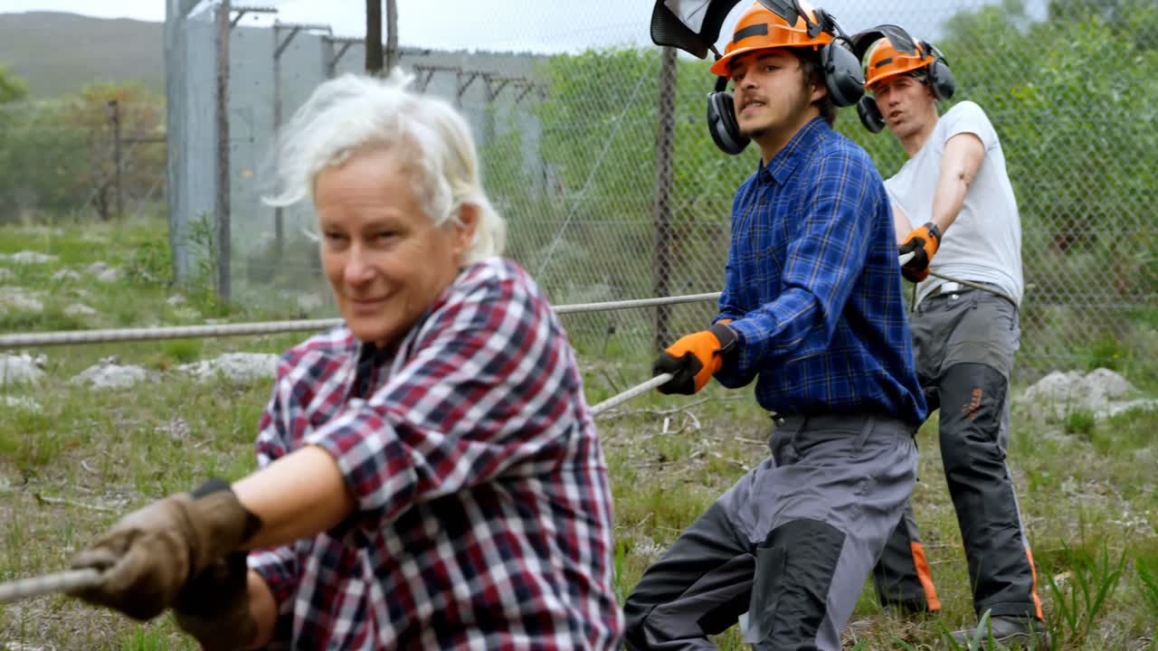 Lumberjacks pulling rope in the forest 4k