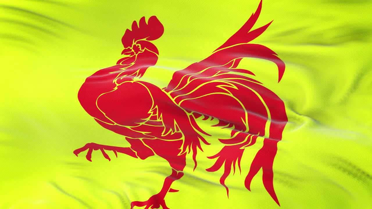 벨기에의 롱 지역은 매우 상세한 직물 질감으로 바람에 흔들리는 발입니다.