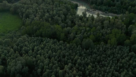 antena 4k: movimiento de cámara de inclinación rápida que revela el típico país italiano cerca de un pequeño bosque