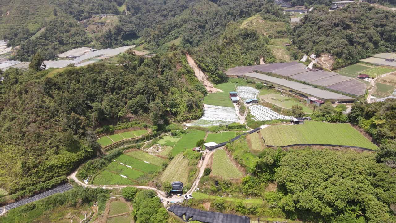 말레이시아의 카메론 하이랜드 지역 내의 브린창 지역의 일반 풍경