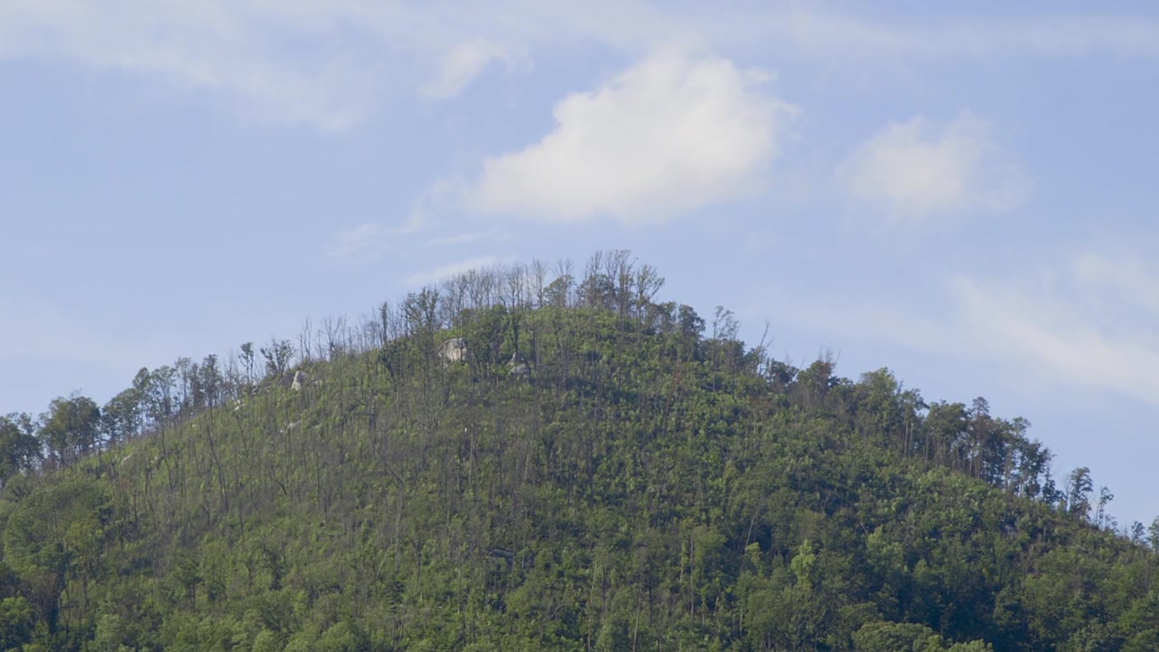 晩夏の午後、サウスカロライナ州スツール山の山頂からの眺め。木々に覆われた山頂を遠くからシャープに捉え、わずかにズームインしたショット。