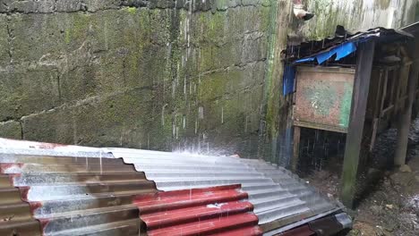fuertes lluvias tropicales en el jardín trasero de una casa bislig