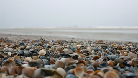 costa del mar del norte