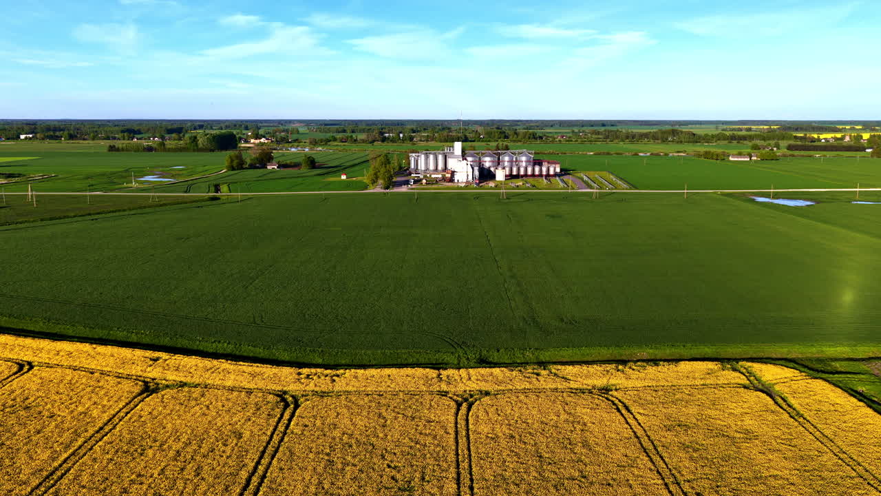 Golden wheat field with distant grain silos under clear blue sky, peaceful and rural vibe