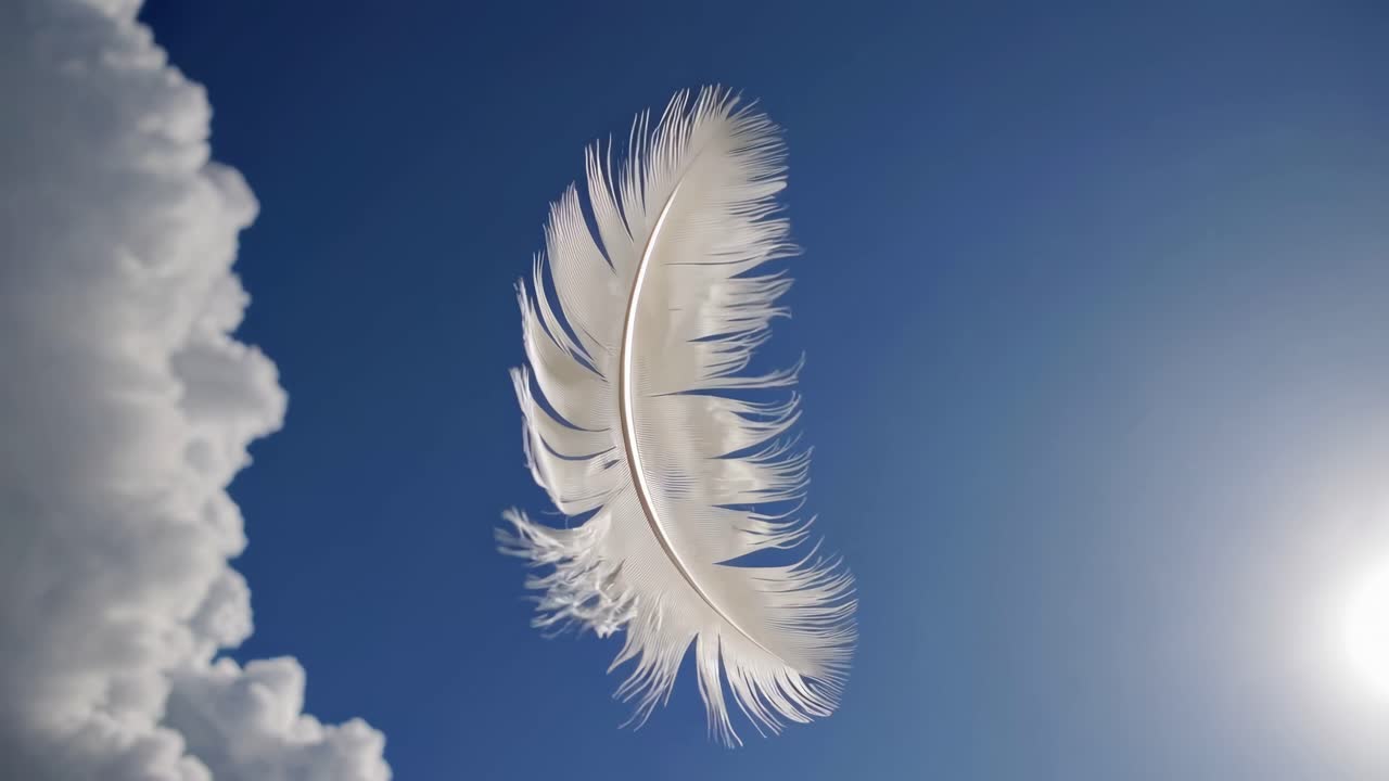 Pena branca flutuando suavemente em um céu azul com nuvens