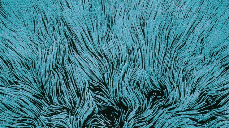 Abstract 3D Art with Blue and Black Lines