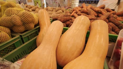 fresh organic vegetables at the farmers market. raw vegetables