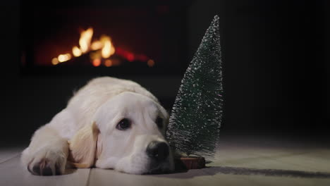 the dog lies near a small christmas tree, in the background there is a fire in the fireplace. christmas eve