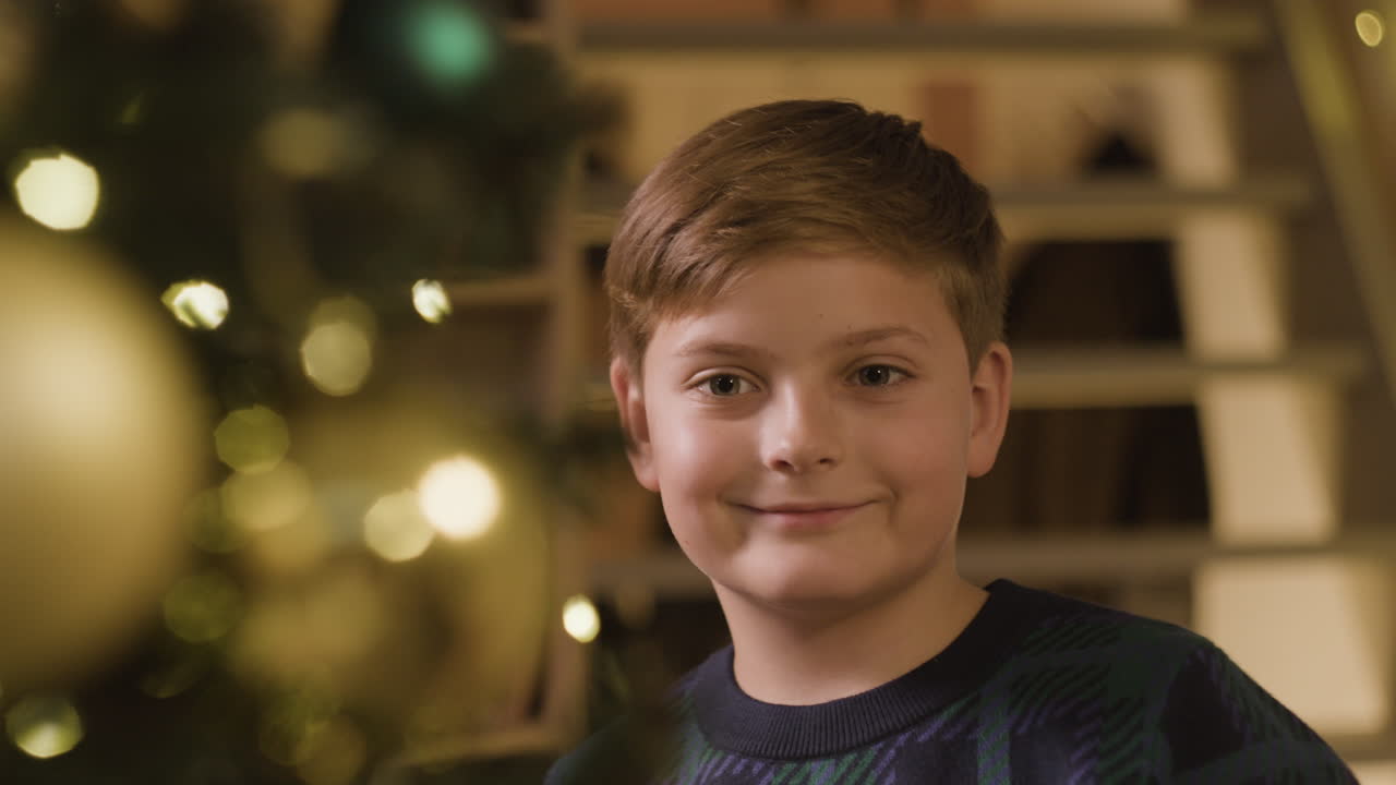 Рождественская елка с украшениями