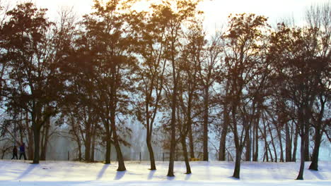 a young couple, man and woman, walk at sunrise through a winter scene in snow at the edge of a forest