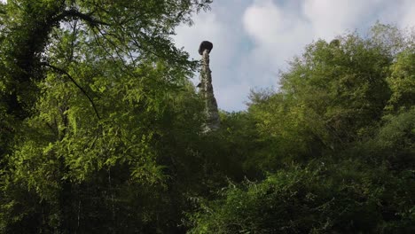 cerrar a través de las ramas de las pirámides de la zona