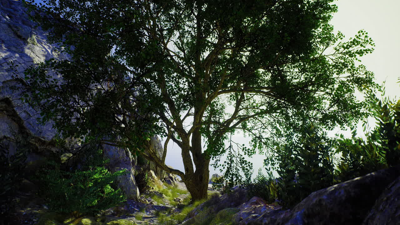A tree in a rocky landscape