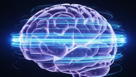 an engaging journey through neural dynamics: visualizing the data and energy flow within a digital brain sphere