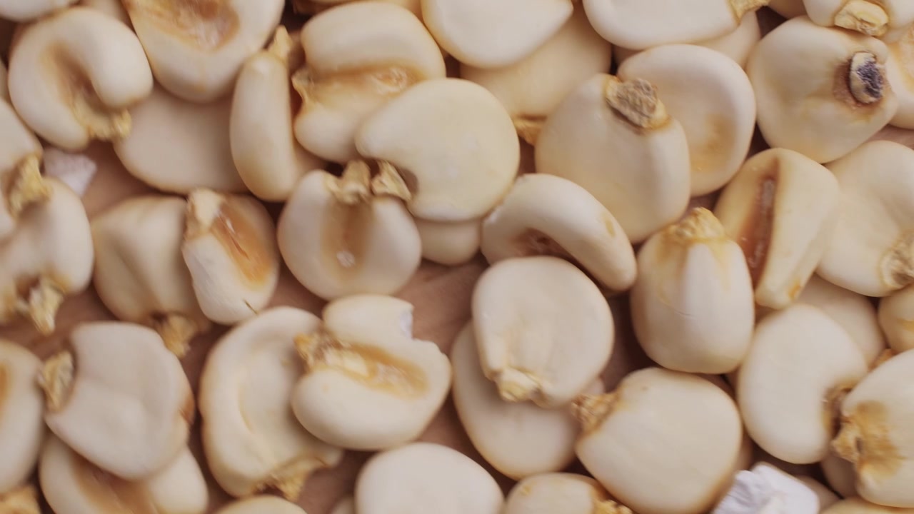 Overhead View of Raw White Corn Kernels