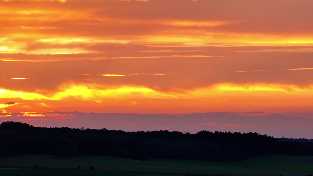 다채롭고 놀라운 하늘 아래 나무 꼭대기의 어두운 그림자