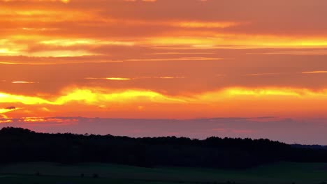 dark shadows of tree tops under colourful and amazing sky