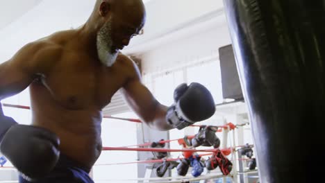 hombre mayor practicando boxeo en el saco de boxeo 4k