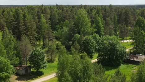 Forest massif from the view of the tower