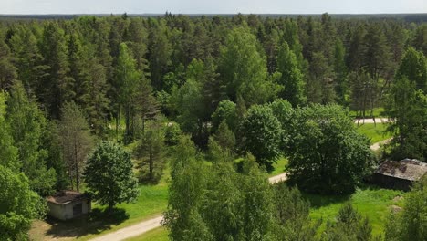 waldmassiv aus der sicht des turms