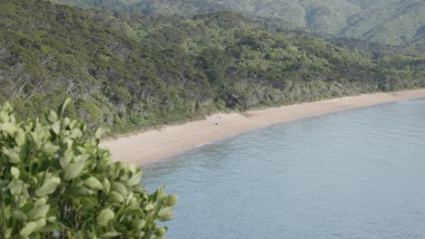 Totaranui-Beach-Und-Die-Umliegenden-Wälder-Aus-Nächster-Nähe-Im-Abel-Tasman-Nationalpark,-Neuseeland