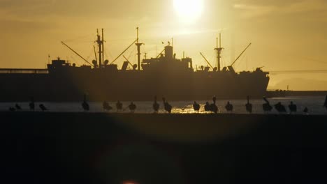 Silhouette-of-Pelicans-on-Pier-and-Ship-at-Sunset