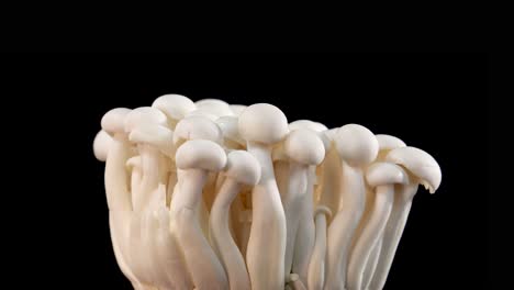 a cluster of white beech mushrooms spins smoothly against a seamless black background, illuminated with soft, even lighting for high detail and clarity