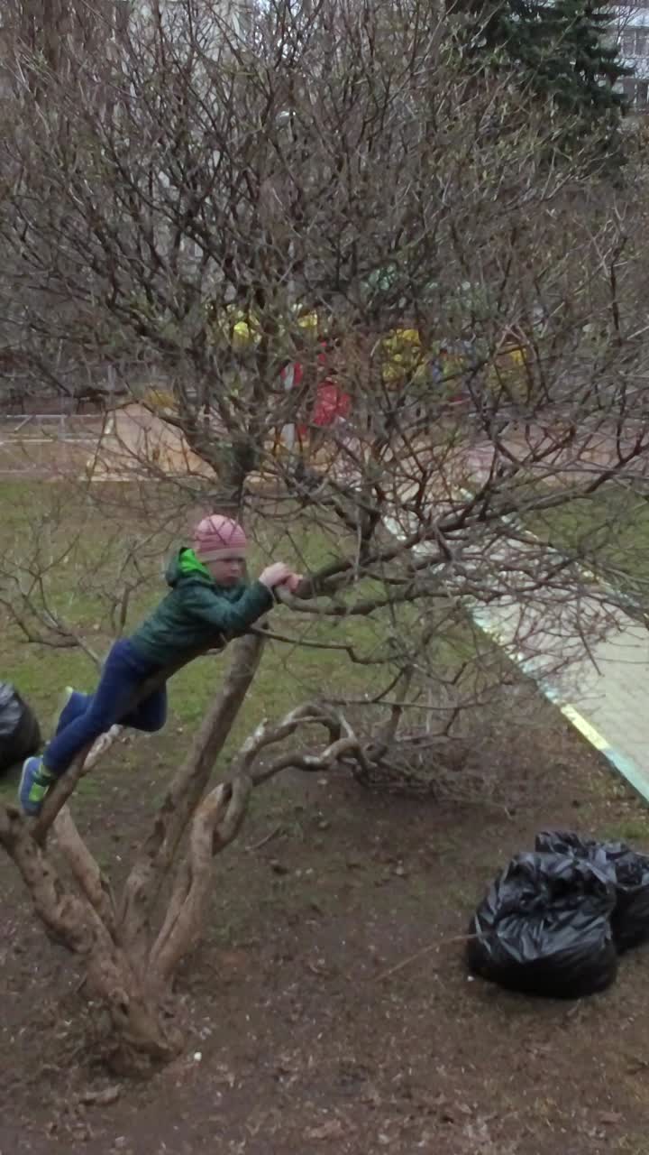 Ung gutt som leker og ligger på en bar tregren i en park
