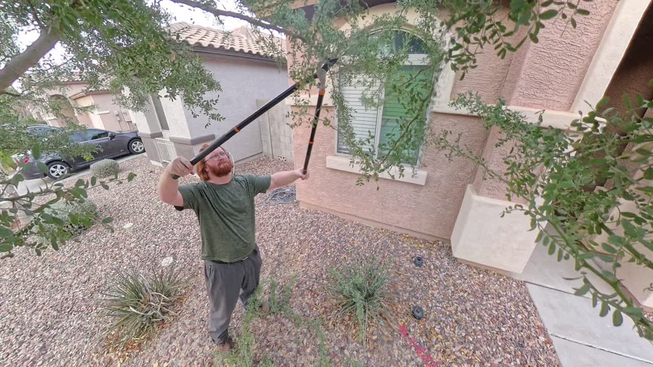Red haired man struggling to cut the branches in his front yard.