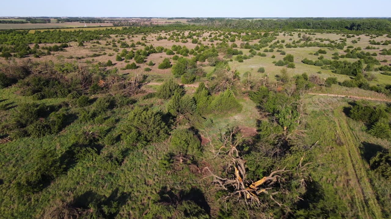 시골 풍경의 조감도