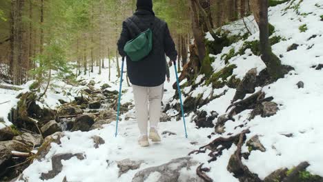 snowy hiking adventure in the woods