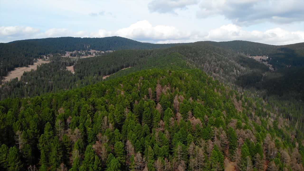Aerial View of Vast Forested Mountains