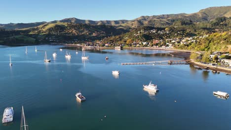 drone footage captures serene akaroa harbor with boats, calm waters, and scenic hills during sunset in canterbury, new zealand
