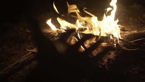 man's hand against the bonfire in the forest