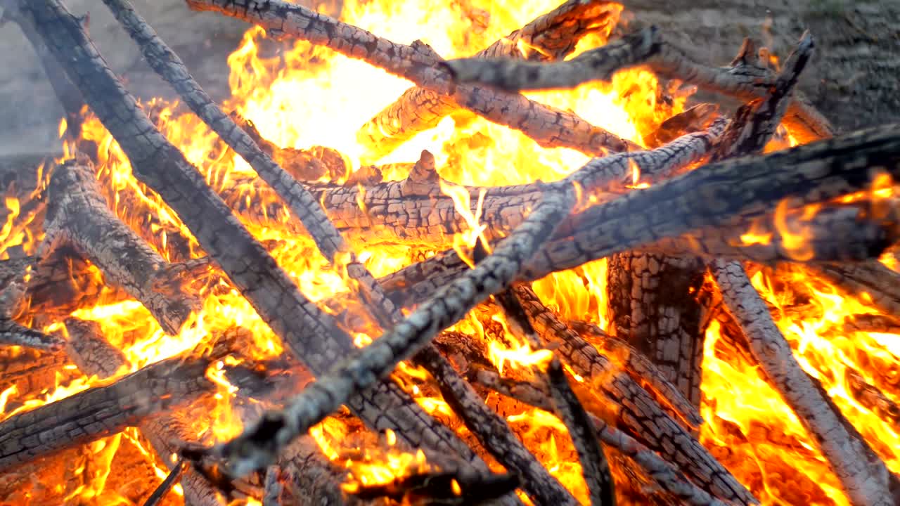 큰 캠프 불은 밤에 숲에서 나가지에서 불타고 있습니다.