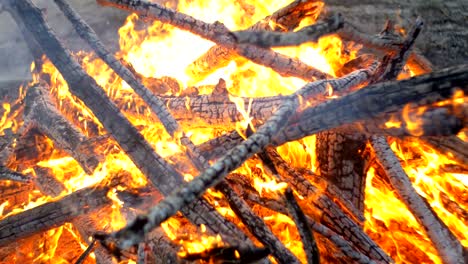 una gran fogata de ramas que arde por la noche en el bosque