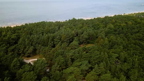 Toma-Aérea-De-Seguimiento-De-Un-Pintoresco-Bosque-De-Pinos-Verdes-Cerca-Del-Mar-Báltico-Desde-Arriba-En-Palanga,-Lituania