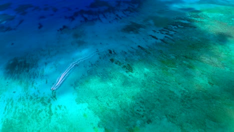 aerial follow of boat cruising through cloud-shadowed turquoise caribbean off grand cayman