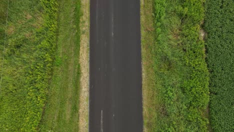 aerial view of a straight road going across a farmer's field full of corn and vegetables with farms on the side