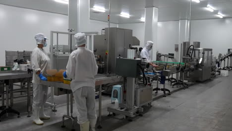 industrial workers in a busy factory meticulously handle vibrant food bottles, placing them in cardboard boxes. the soft industrial lighting creates a warm ambiance, highlighting activity taking place