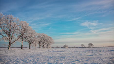 Atemberaubende-Zeitrafferansicht-Des-Blauen-Himmels-Und-Der-Weißen-Wolken-über-Schneebedeckten-Bäumen-Und-Dem-Boden