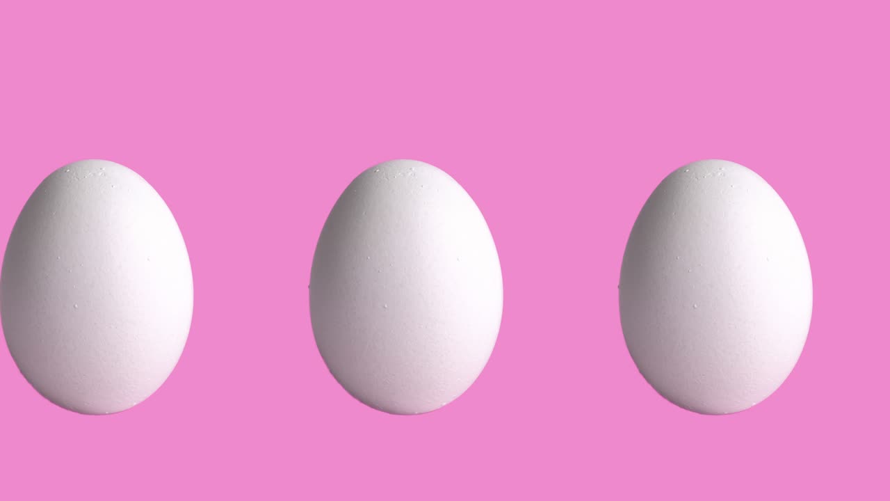 장미와 분홍색 배경에 의 생 계란을 가진 원활한 루프 애니메이션, 농장 제품의 측면 뷰, 복사 공간과 함께 부활절 개념