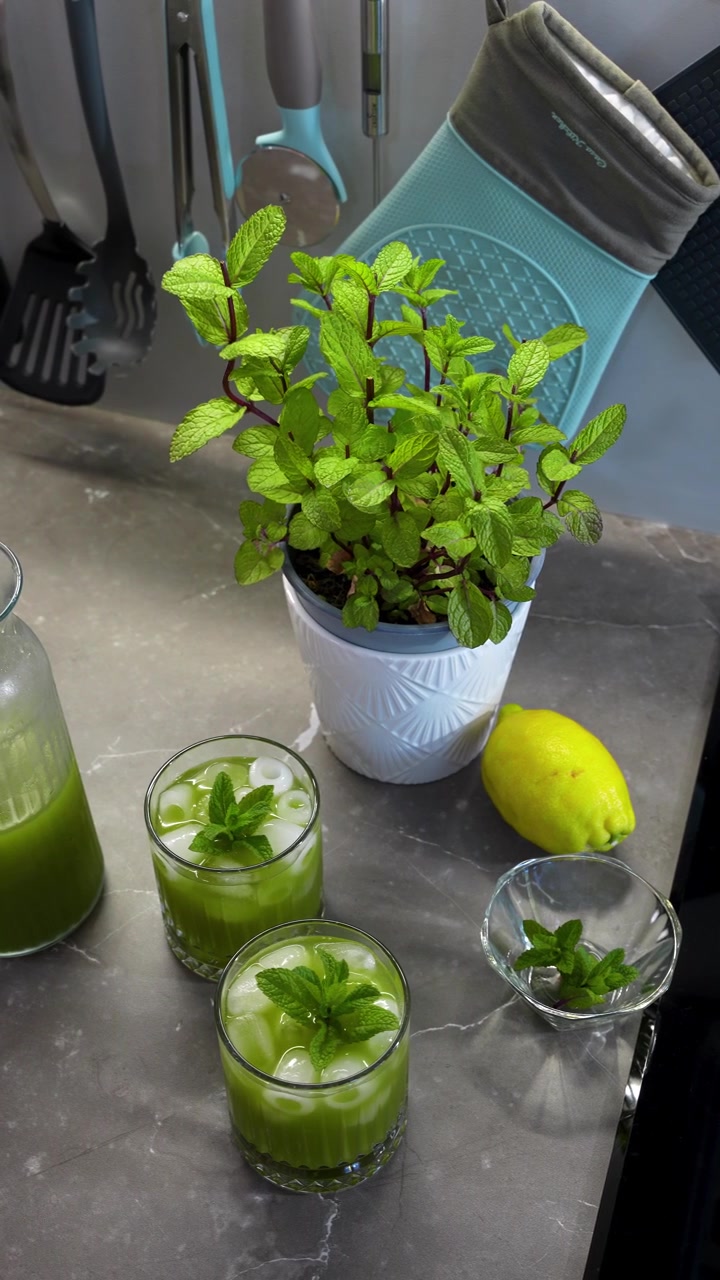 Vertical close-up of hands garnishing chilled mint lemonade Matcha with fresh mint, beside a potted herb, lemon, and green homemade drink on a kitchen counter.
