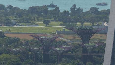 timelapse zoomed into the gardens by the bay in singapore