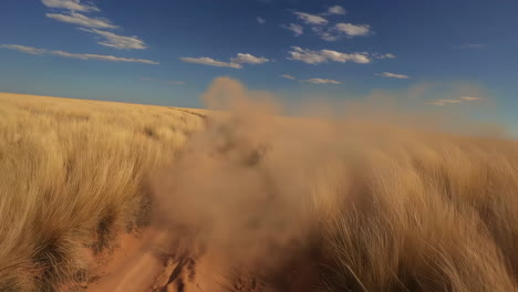 dusty desert road
