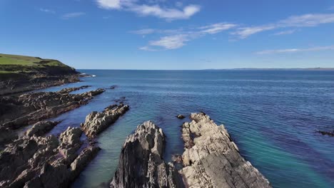 Galley-Head-peninsula-with-wild-flowers-and-cliffs,-rugged-coast,-calm-blue-ocean-waters,-West-Cork,-Ireland