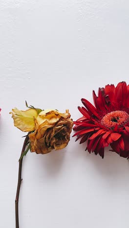 Arrangement of Dried and Fresh Flowers